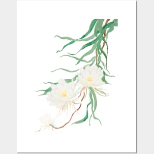 white epiphyllum watercolor Posters and Art